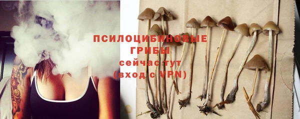 MESCALINE Верхний Тагил