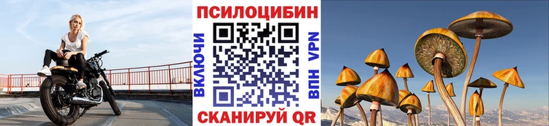 Псилоцибиновые грибы мицелий  Артём 